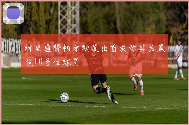 特里盛赞帕尔默复出首发称其为最佳10号位球员
