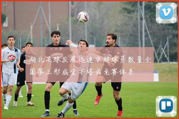 湖北足球发展迅速中超球员数量全国第三形成金字塔式竞赛体系