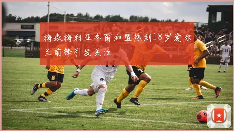 梅森梅利亚冬窗加盟热刺18岁爱尔兰前锋引发关注