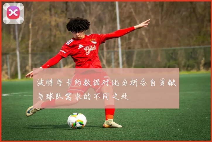 波特与卡约数据对比分析各自贡献与球队需求的不同之处